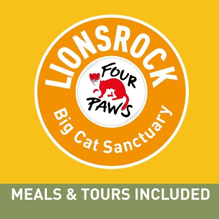 הוילה בית לחם Lionsrock Big Cat Sanctuary מראה חיצוני תמונה